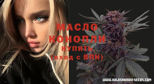 молекула духа Белая Холуница
